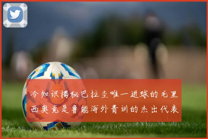 冷知识揭秘巴拉圭唯一进球的毛里西奥竟是鲁能海外青训的杰出代表