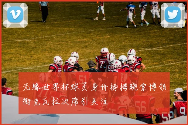 无缘世界杯球员身价榜揭晓索博领衔克瓦拉次席引关注