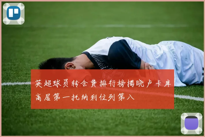 英超球员转会费排行榜揭晓卢卡库高居第一托纳利位列第八