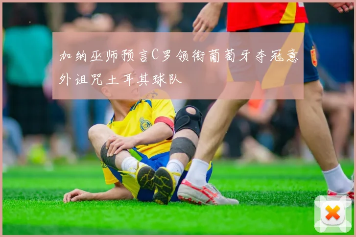 加纳巫师预言C罗领衔葡萄牙夺冠意外诅咒土耳其球队