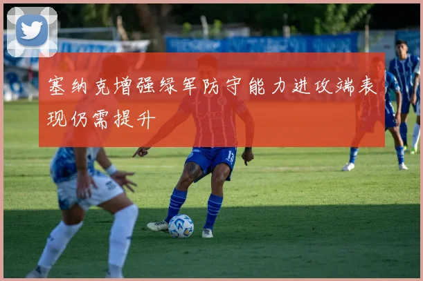 塞纳克增强绿军防守能力进攻端表现仍需提升